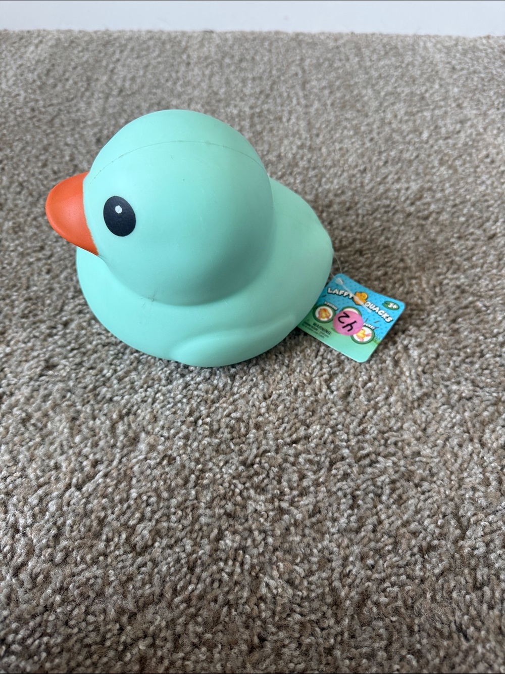 Mint Green Rubber Duck Dog Toy